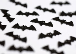 1439   halloween bats