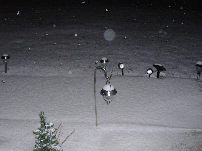 <p>Our first &quot;big&quot; snowstorm of 2010.&nbsp; Wow, must have been about 5 inches. Im from Michigan and&nbsp;New Jersey so&nbsp;this is like a dusting but the locals go crazy.</p>