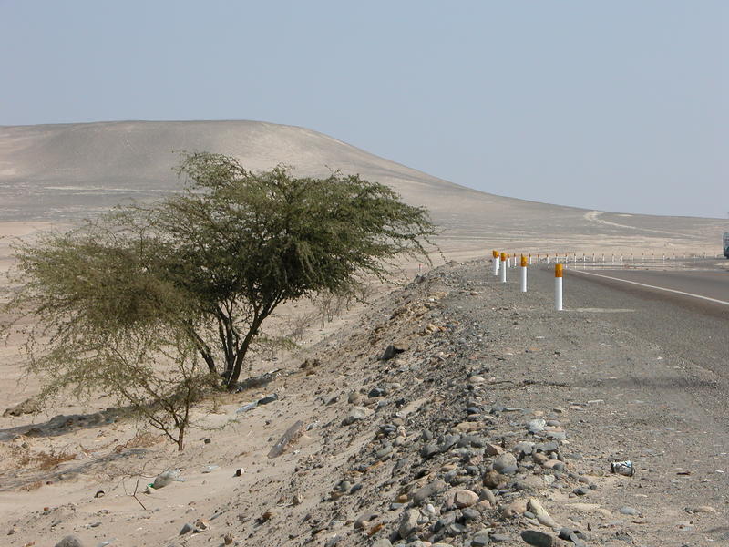 Pan American highway near Nazca, Peru