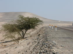 1912-Peru_Pan_Am_Highway_nr_Nazca.jpg