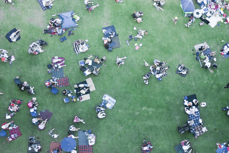 people relaxing in a park on the side of sydney harbour. not model released