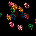 1769-bokeh lights