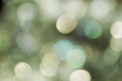 1860-bokeh green