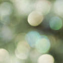 1860-bokeh green