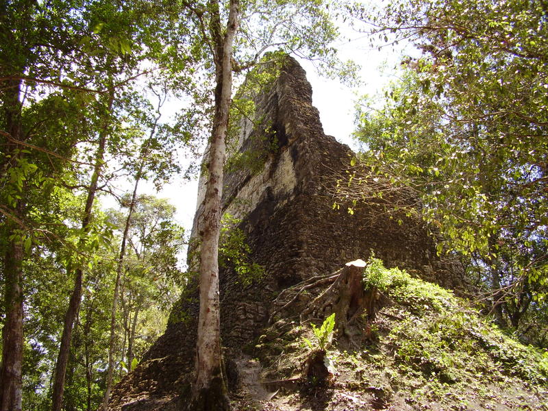 ruins of mayan temples deep in the central american rainforests