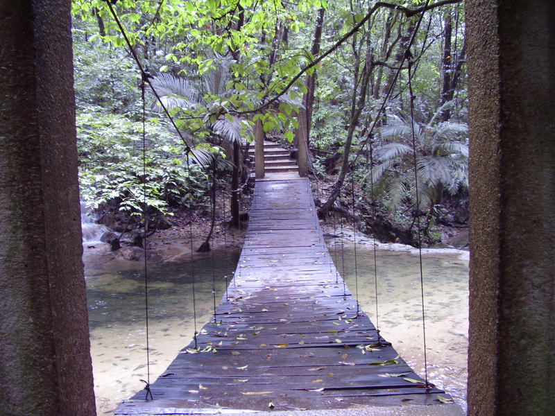 A rope bridge with a wooden deck crossing a small jungle stream