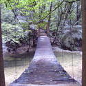 1800-Rope Bridge