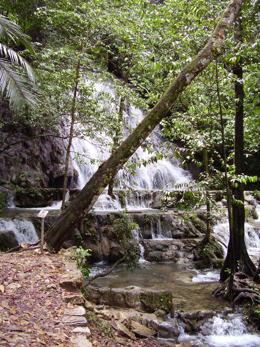 a waterfall in the central american rainforest