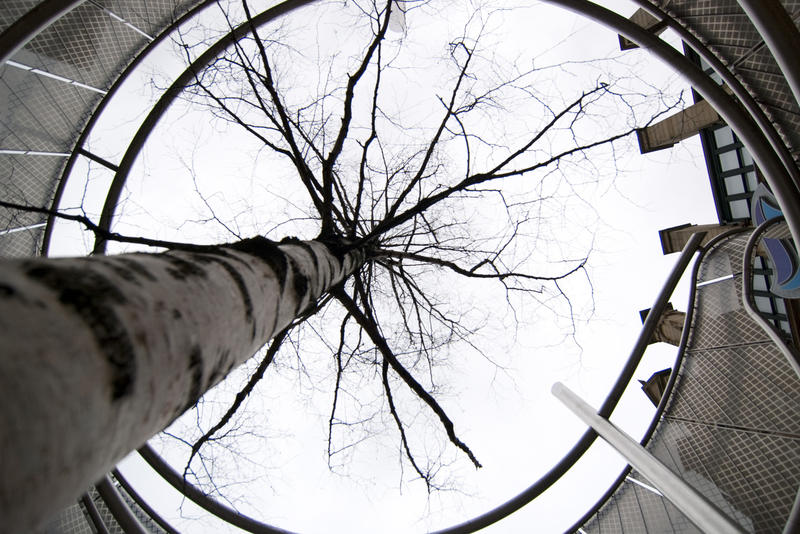 an abstract image of a tree surrounded by a building