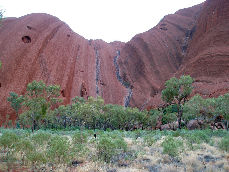 impressive red cliffs eroded by water run off, dark algae marks the channels where the water flows, uluru ayres rock
