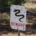 2904-snake warning