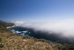 2590-big sur sea mist