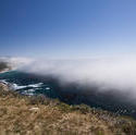 2590-big sur sea mist