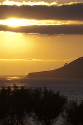 2556-bigsur golden sunset