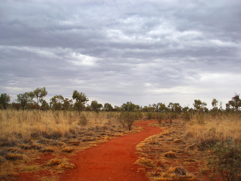 2905-bush walking trail