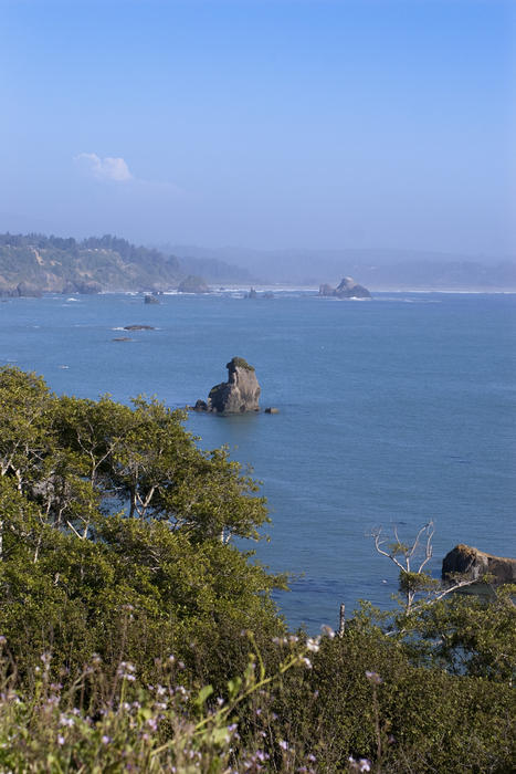 californias far north coast, rocky outcrps in the pacific ocean