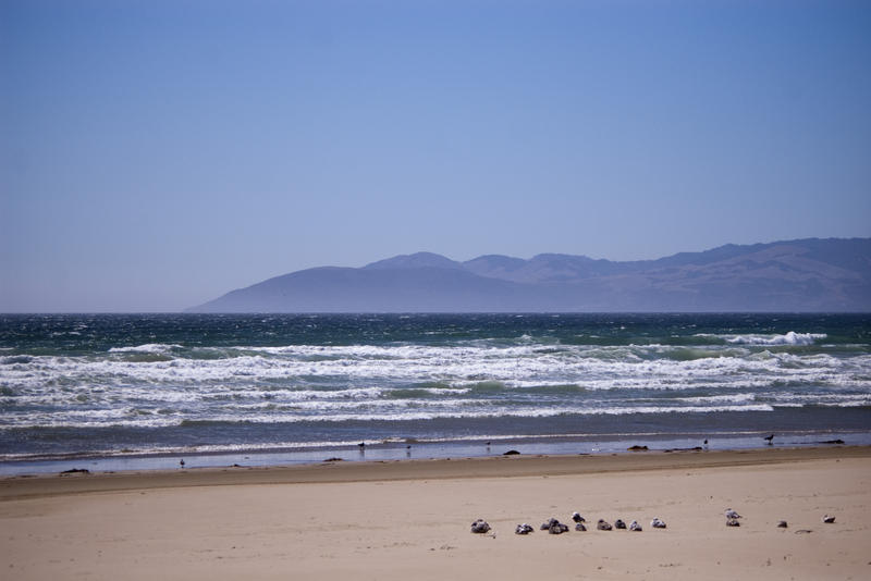 a sandy beach on california's central coast
