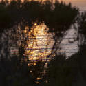 2559-bigsur sunset over the water