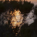 2559-bigsur sunset over the water