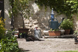 2770-french cottage garden