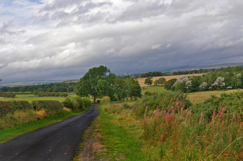 a view of the cheshire countryside, narrow rural lanes running through fields lined with hedgerows