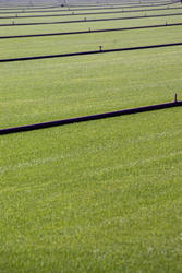 2791   reticulation pipes