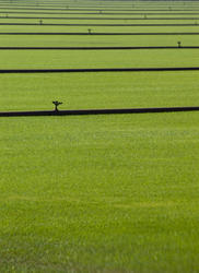 2792   irrigation pipes