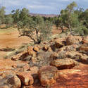 2906-dry todd river