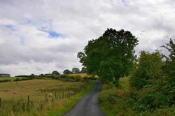 2820-english country lane