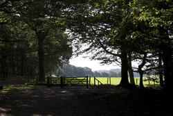2821-english countryside