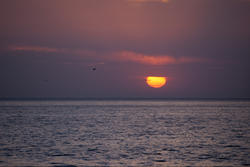 2561-firey red sunset