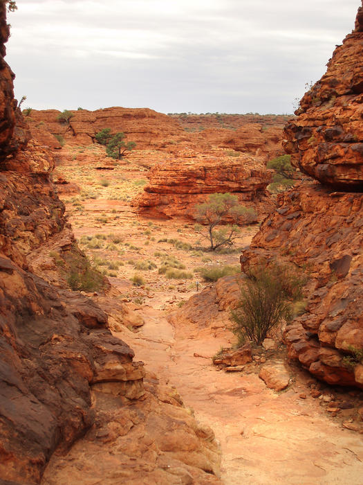 Walking track through the 'lost city' at kings canyon, Watarrka national park