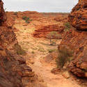 2912-kings canyon walking track