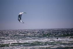 2522-kite surfiing