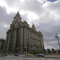 2159-Liver building, liverpool