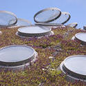 2880-Academy of Sciences Living Roof