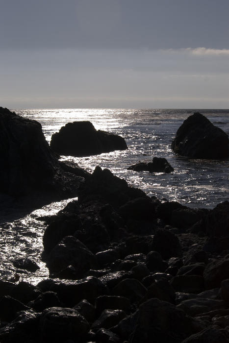 rocks in the pacific at night, lit by the moon