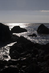 2599-moonlit seascape