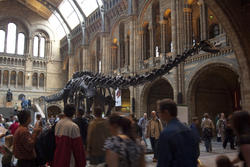 2297-natural history museum