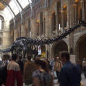 2297-natural history museum