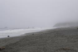 2600-north coast storms
