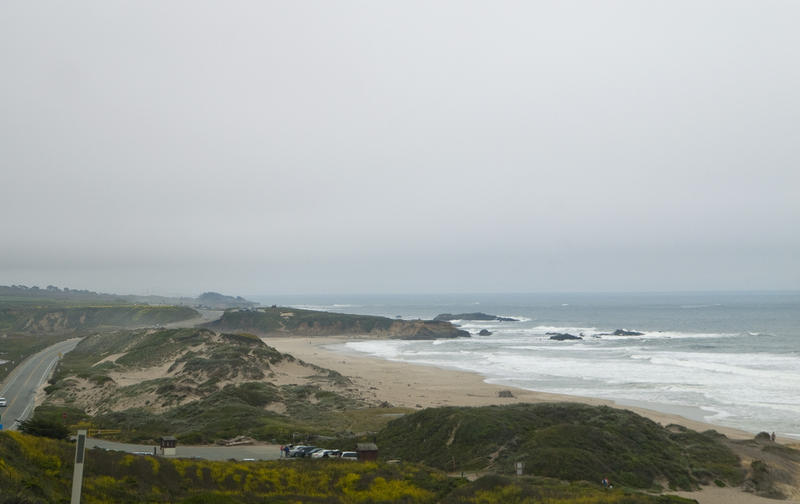 sandy coastal dunes on the side of the pacific coast highway 1, california