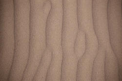 2519-sandy ripples