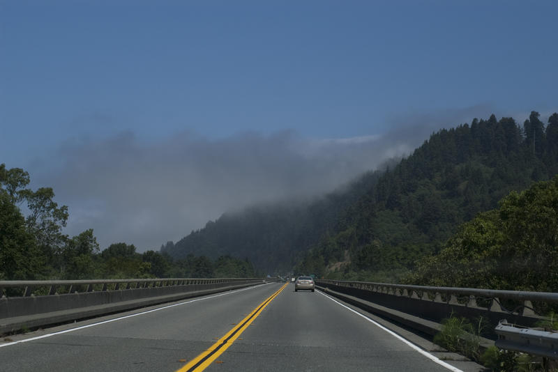 highway 101 through north california