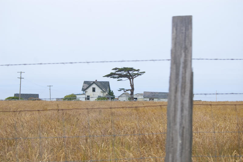 wooden farm buildings across a field of tall grass