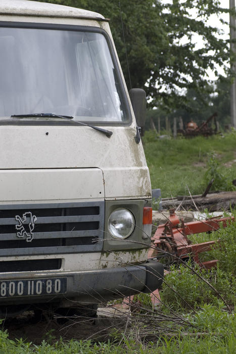 and old peugeot van left in an overgrown field