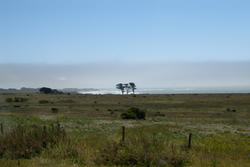 2603-san simeon coastline