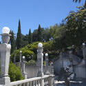 2549-Hearst Castle Gardens