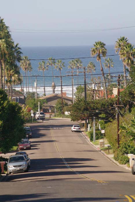 califonria beach side suburban area, streets lines with tall palms