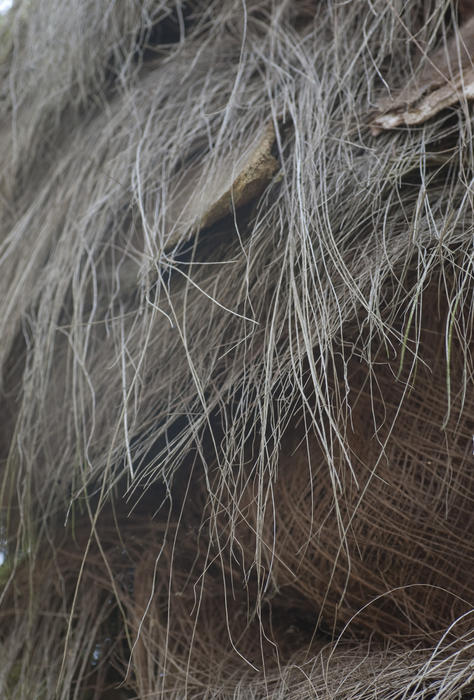 background pattern of thatching material